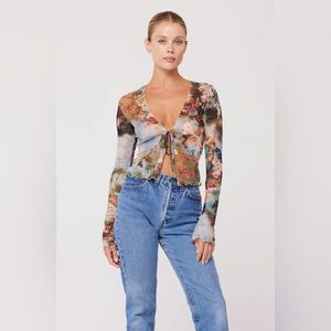 Resa Aliyah mesh top in Shakespeare size medium